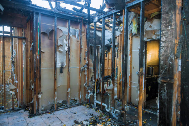 Professional Smoke Damage Removal technician working in Flora, IN